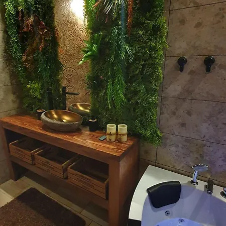 Castello Smederevska Palanka