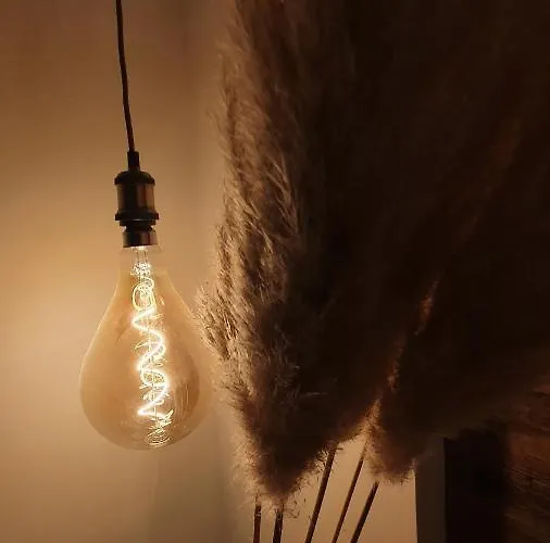 بيت شباب Castello *